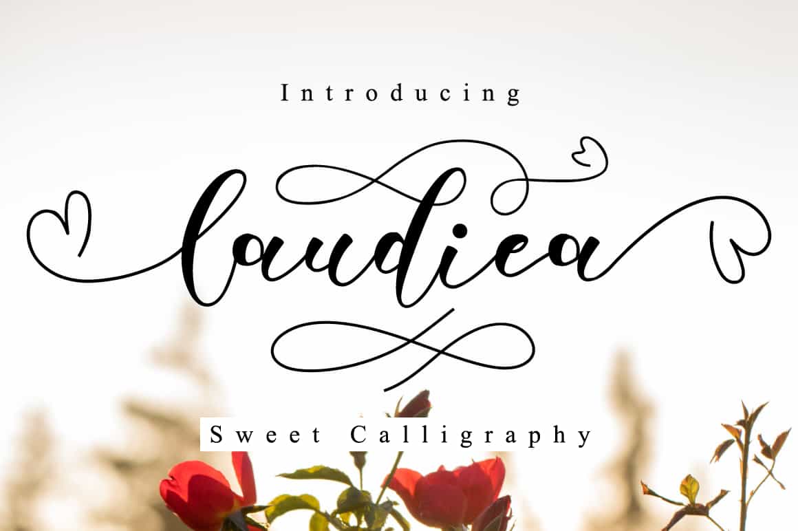 The Lovely Font Bundle - 41 Script Fonts - Artixty