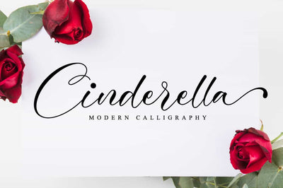 The Lovely Font Bundle - 41 Script Fonts - Artixty