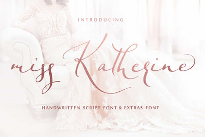 The Stylish Calligraphy Font Bundle - 12 Exclusive Fonts - Artixty