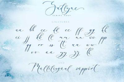 The Stylish Calligraphy Font Bundle - 12 Exclusive Fonts - Artixty