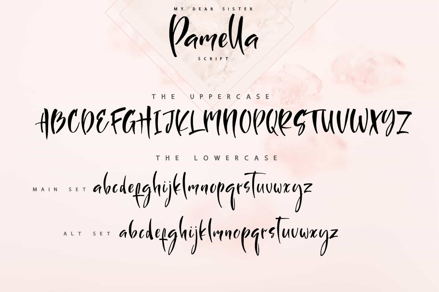 The Stylish Calligraphy Font Bundle - 12 Exclusive Fonts - Artixty