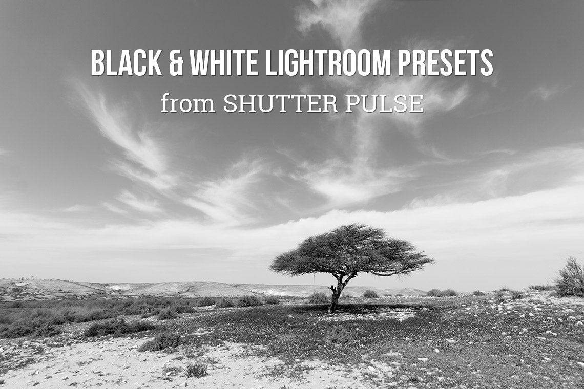 The Radiant Lightroom Preset Bundle - 330+ Presets - Artixty