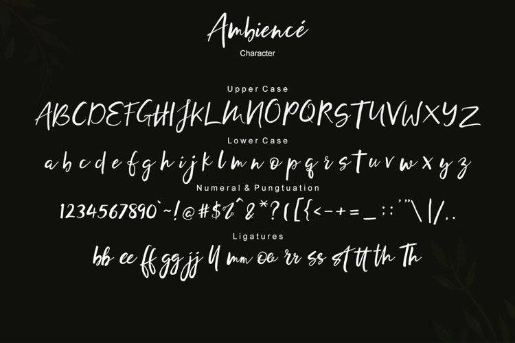 The Minimalist Font Bundle - 34 Exclusive Fonts - Artixty