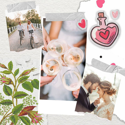 60 Wedding Edition Polaroid Photo Template Bundle - Artixty