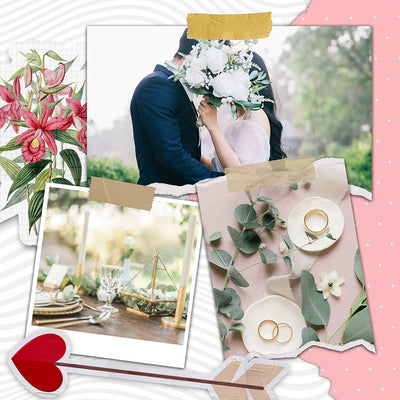 60 Wedding Edition Polaroid Photo Template Bundle - Artixty