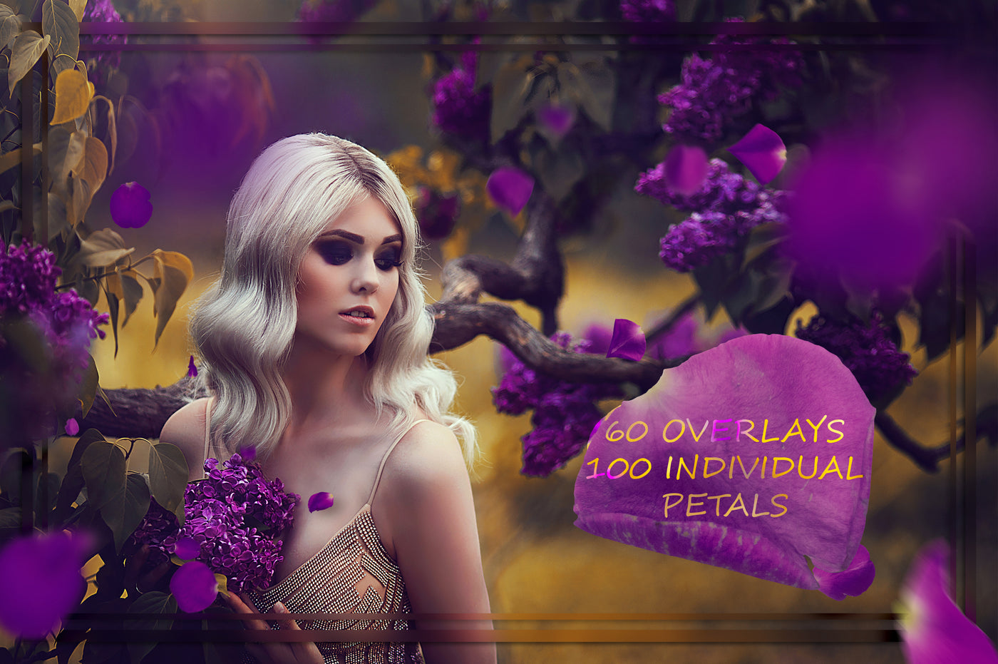 The Dreamy Nature Overlays Bundle - 9500+ Resources-Graphics-Artixty