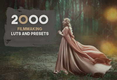 2000+ Finest Filmmaking LUTs And Presets Bundle-Add-Ons-Artixty